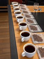 Specialty Coffee Tasting Experience