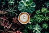 Baristas United